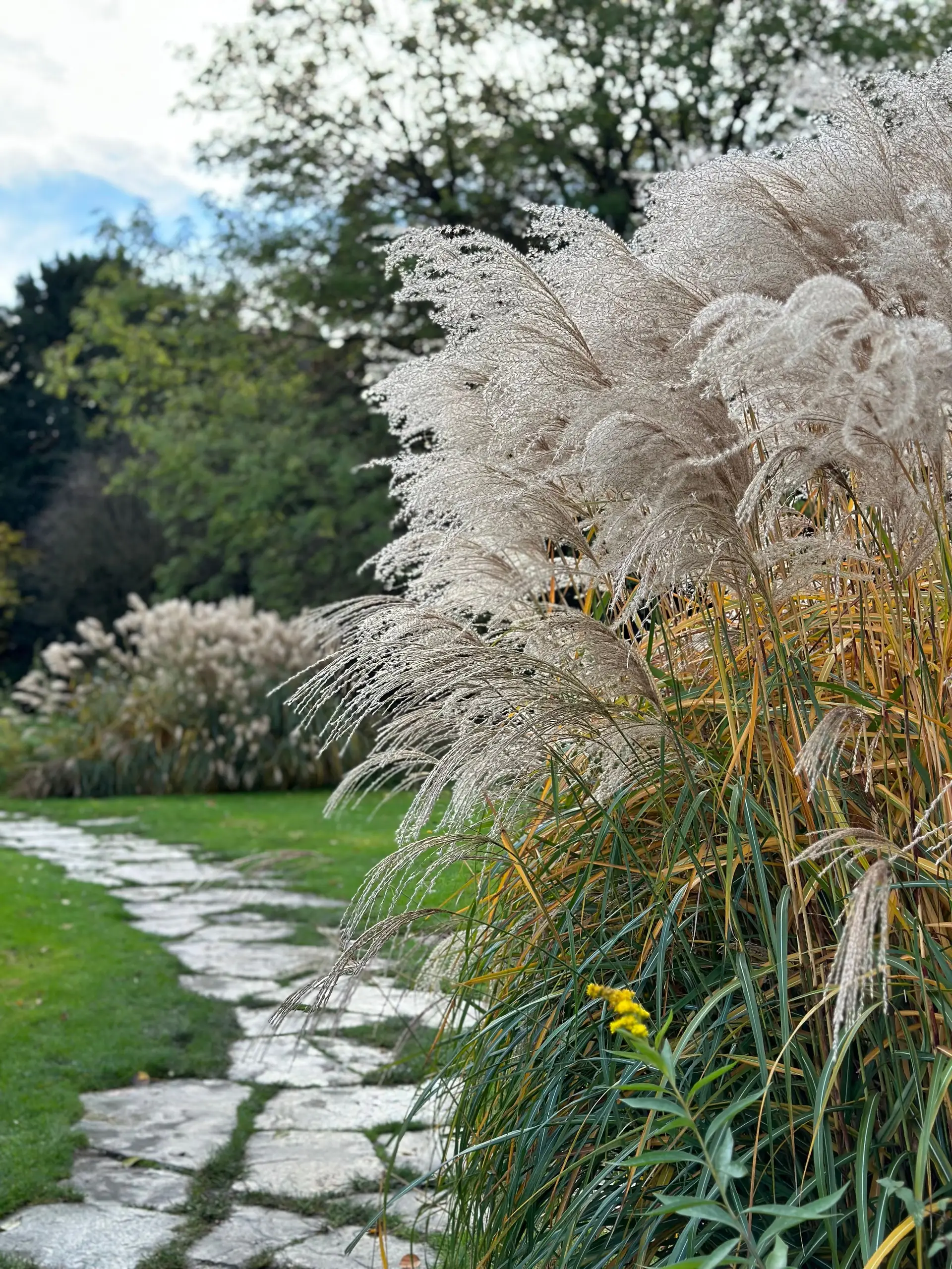Architektonischer Gartenpfad gesäumt von skulpturalen Gräsern und ruhigen Steinquadern