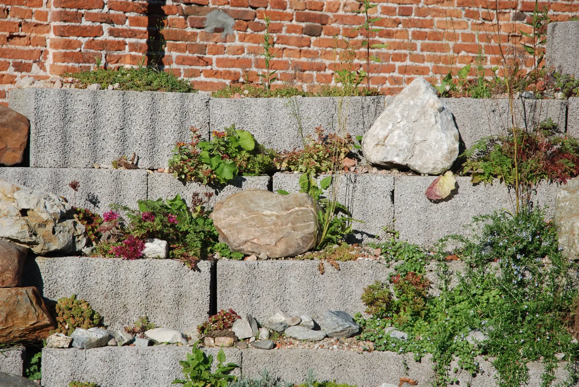 Architektonisch gestufte Steinterrasse mit naturnaher Bepflanzung