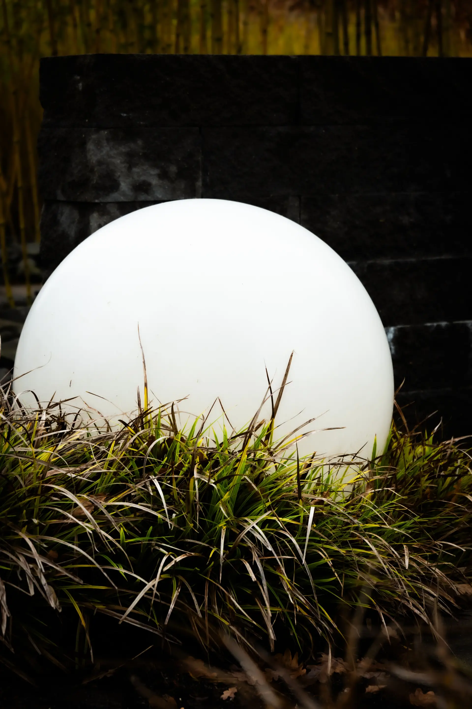 Atmosphärische Gartenbeleuchtung und Gräserstrukturen im Dämmerlicht