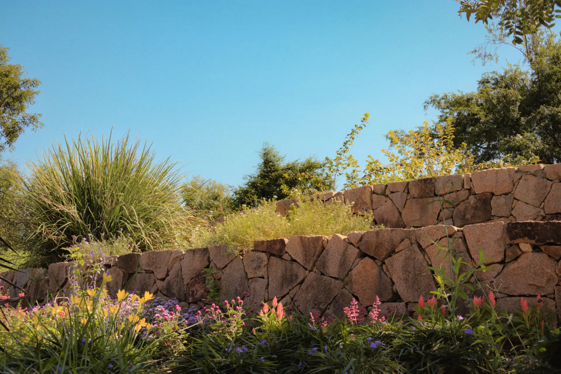Gartenmodernisierung und Transformation eines bestehenden Grundstücks